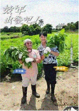 美食探店综艺